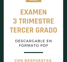 Examen tercer grado de primaria (3er Trimestre)